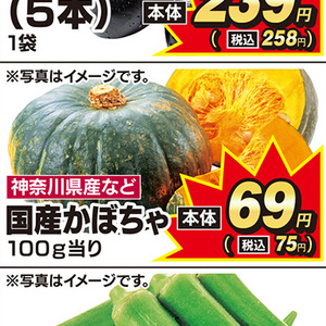 かぼちゃ