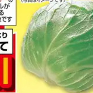 きゃべつ