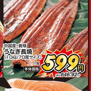 うなぎの蒲焼き