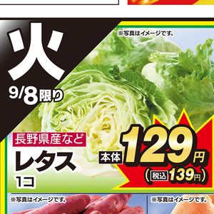 レタス