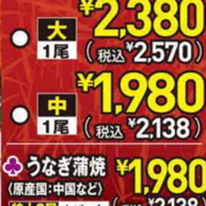 うなぎの蒲焼き