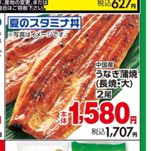 うなぎの蒲焼き
