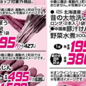 土付きごぼう