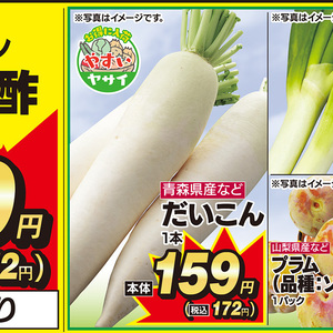 だいこん