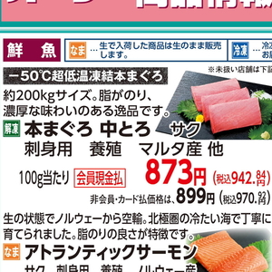 まぐろ中とろ