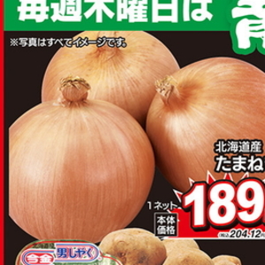 たまねぎ