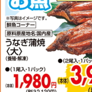 うなぎの蒲焼き