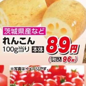 レンコン
