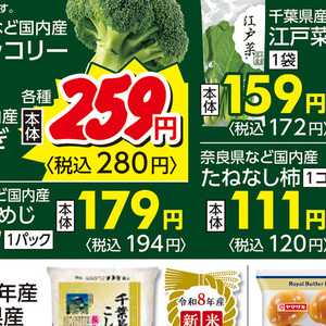 ながねぎ