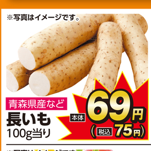 ながいも
