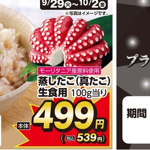 たこ（ボイル）