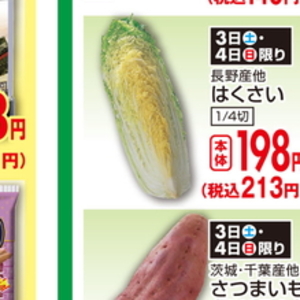 はくさい