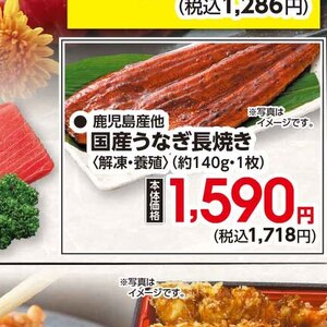 うなぎの蒲焼き
