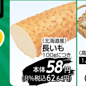 ながいも