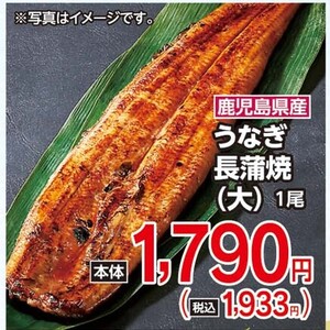 うなぎの蒲焼き