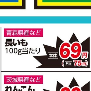 ながいも