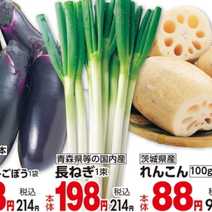 ごぼう