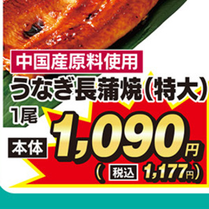 うなぎの蒲焼き