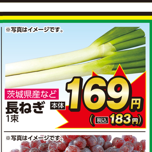 ながねぎ