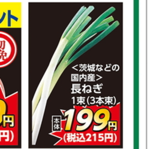 ながねぎ