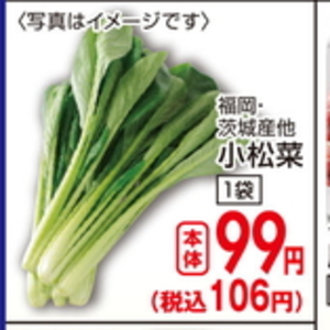 こまつ菜