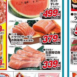サーモン（刺身）