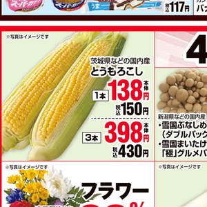 とうもろこし