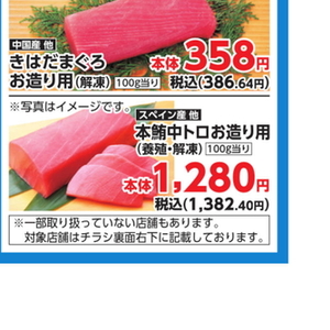 まぐろ中とろ