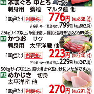 かつお（さく取り）
