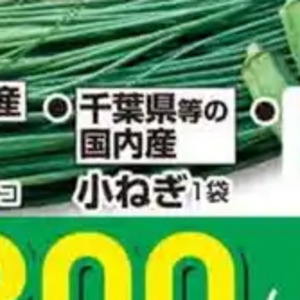 小葱