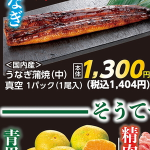 うなぎの蒲焼き