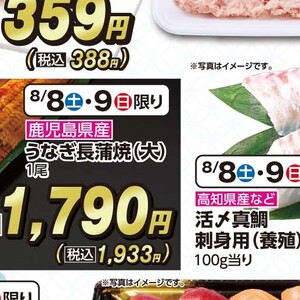 うなぎの蒲焼き