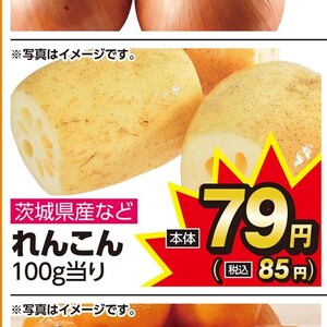 レンコン