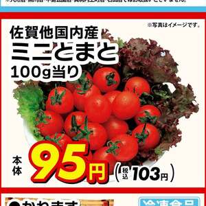ミニトマト