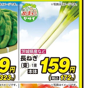 ながねぎ