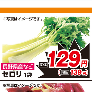 セロリ