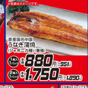 うなぎの蒲焼き