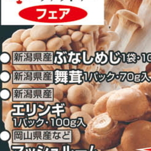 まいたけ