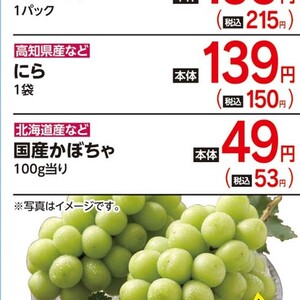 かぼちゃ