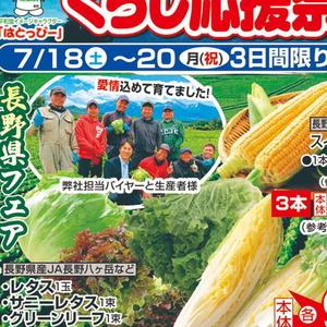 とうもろこし