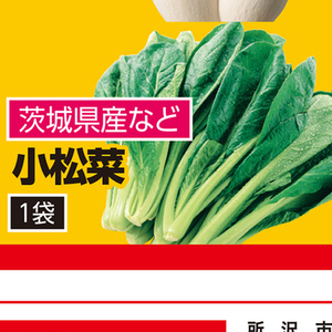 こまつ菜