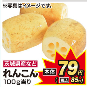 レンコン