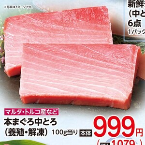 まぐろ中とろ
