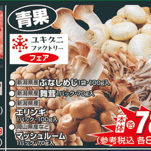 エリンギ