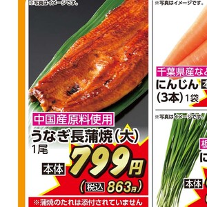 うなぎの蒲焼き