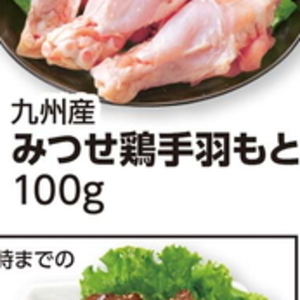 鶏手羽元