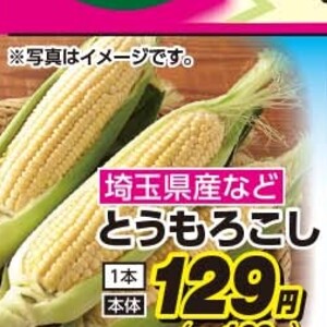 とうもろこし