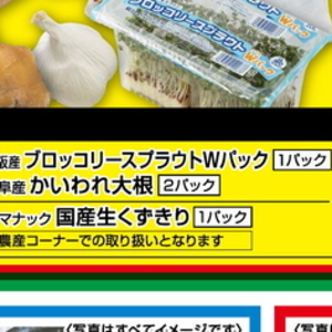 ブロッコリースプラウト