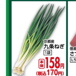 ながねぎ