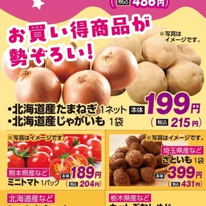 たまねぎ